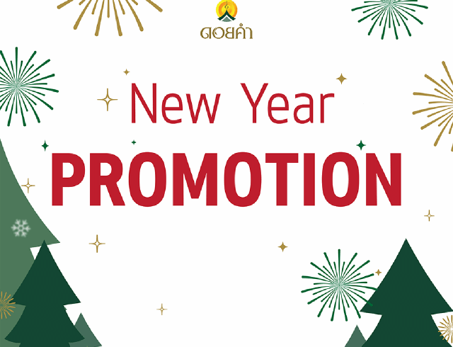 New Year PROMOTION